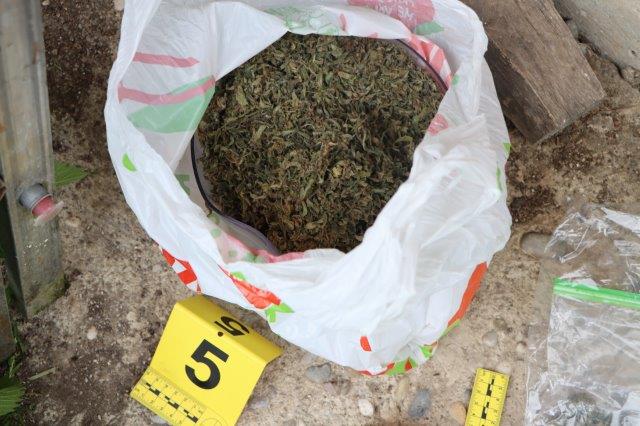 Slika /Novi direktorij/11-droga 2023 2.jpg